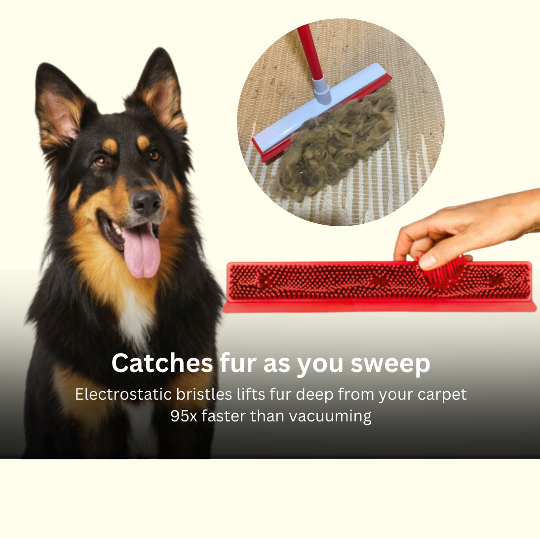 FURGO™ 2-In-1 Pet Hair Broom