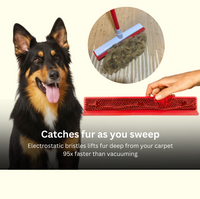 FURGO™ 2-In-1 Pet Hair Broom