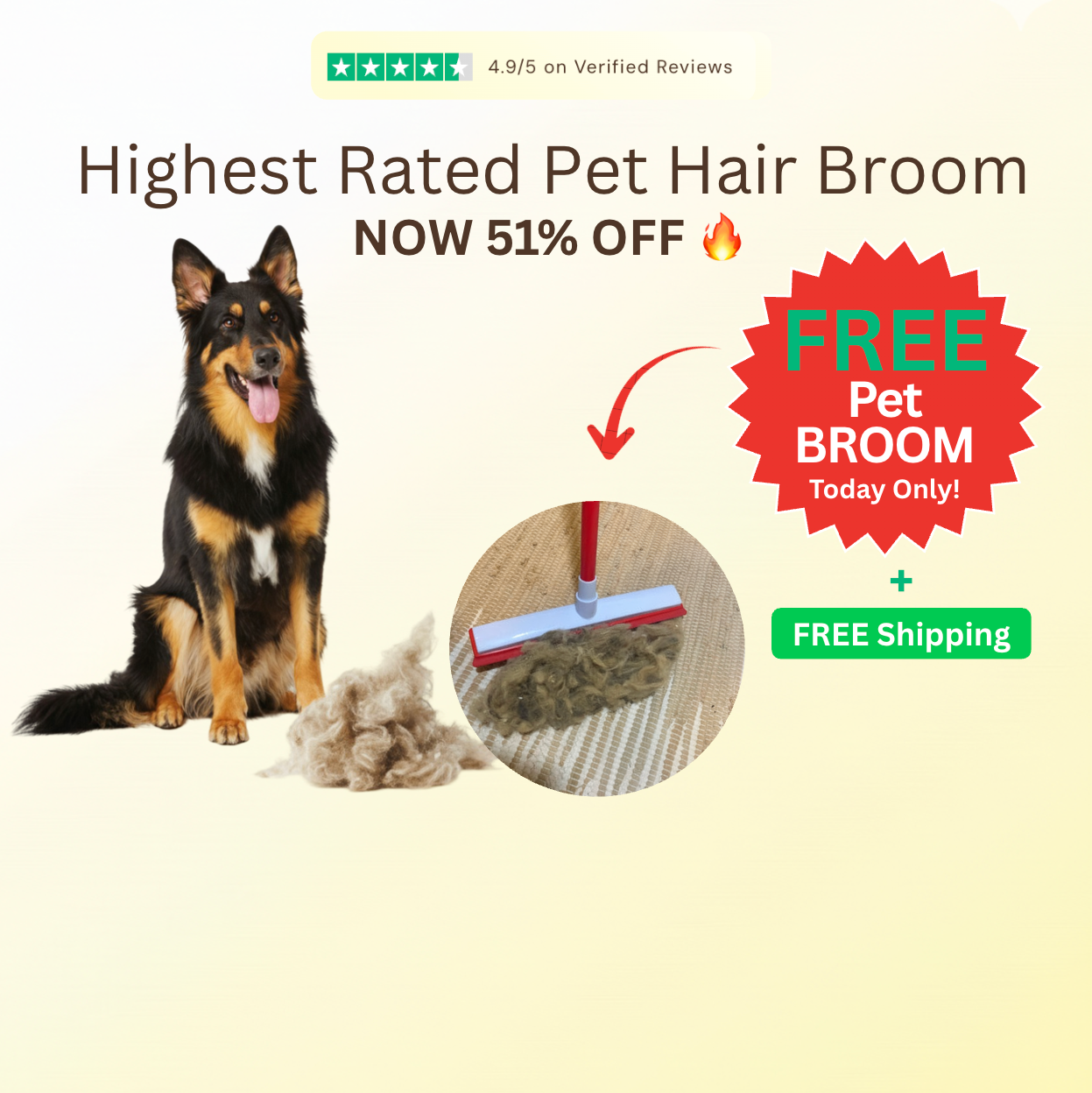 FURGO™ 2-In-1 Pet Hair Broom